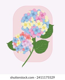 illustration of hydrangea flowers in various colors