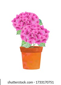 Illustration of hydrangea in a pot.