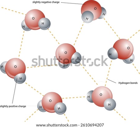 illustration of hydrogen bond - vector