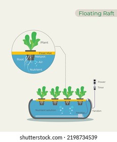 Illustration of Hydroponic using Floating Raft, Deep Water Culture (DWC)