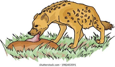 Illustration Of A Hyena Eating Meat