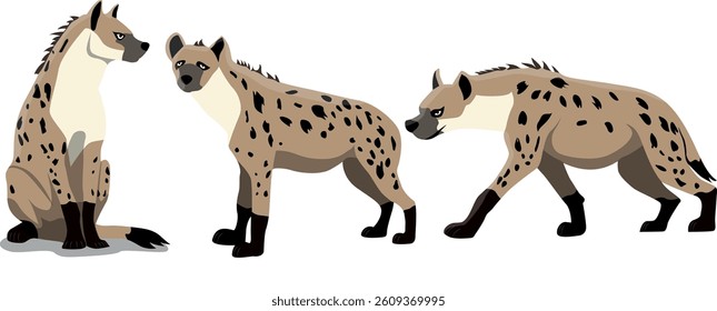 Illustration of Hyenas on a white background