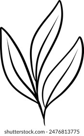 Illustration hygiene soap. Outline Vector. Leaf