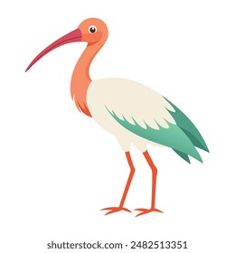 illustration of a Ibis bird on white