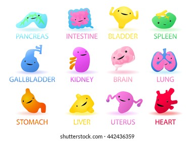illustration of icon set of human internal organs on isolated white  background