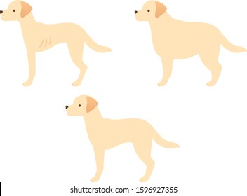 Illustration icon set of three types of dogs (obese / standard / slim)