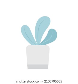 Ilustración vectorial de plantas verdes en macetas, plantas decorativas, plantas de moda en ollas, bellas decoraciones de casas naturales