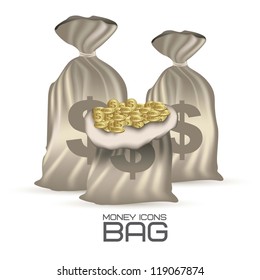 illustration of icons of money. illustration of money bags, vector illustration