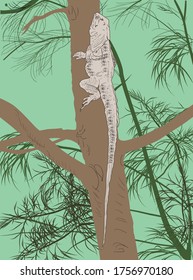 Illustration mit iguana auf großem Baum