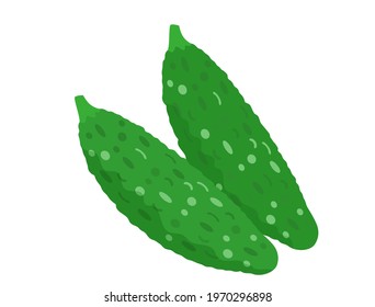 It is an illustration with the image of bitter gourd.
