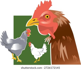 An illustration or image featuring a large rooster alongside two hens, representing domesticated chickens commonly raised worldwide for egg production and meat. Chickens are among the most widespread farm animals, playing a vital role in agriculture, rural life, and food production.
