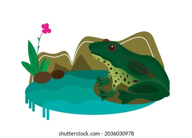 The illustration image of a green frog in the pond is suitable for various design and drawing needs for children'