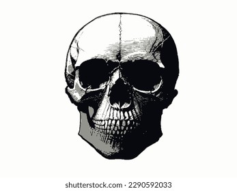 illustration image, human head skeleton view from front, white background 