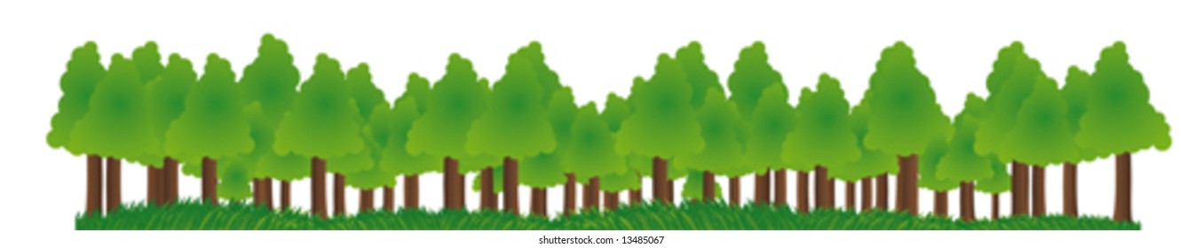 Illustration with the image of a large forest with a beautiful meadow