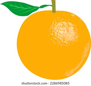 Ilustración de una naranja refrescante