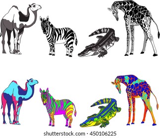 illustration with the image of zebra, giraffe, crocodile and camel, made black, white and bright different colors. Vector