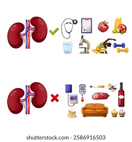 Illustration of the impact of negative and positive factors on the kidneys. National Kindey Month. Handmade drawing, isolate, clipart