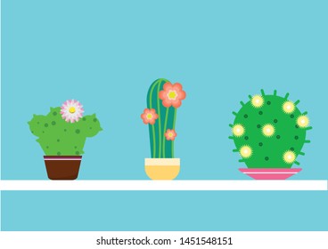 The illustration includes a composition of three varieties of cacti in pots.