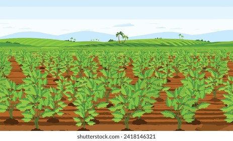 Illustration Indian Agriculture Background, green plants, farm field, plants in line, green land, landscape, farm land