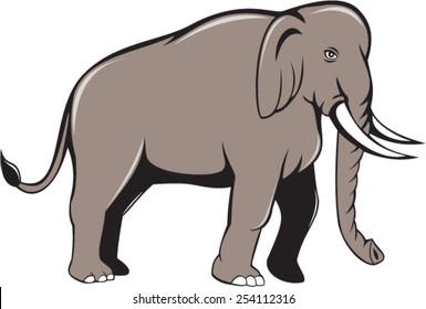 Illustration of an Indian elephant with tusks walking viewed from side on isolated white background done in cartoon style.