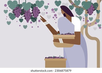 Illustration of an Indian farm woman harvesting grape fruits from the plantation