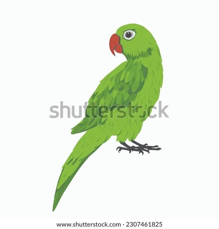 Illustration of indian green parrot on white background. Vector