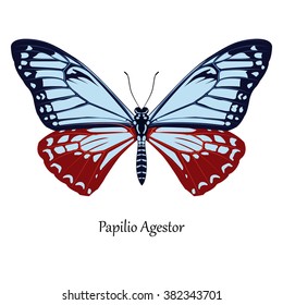 Illustration of Indian Swallowtail Butterfly - Papilio Agestor