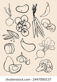 Illustration of individual vegetables. Hand drawn vegetables. Vegetable line illustration. Vegetables icon. clip art