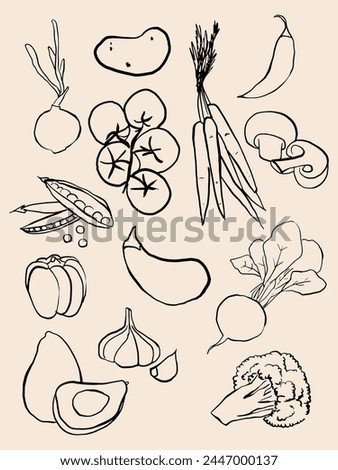 Illustration of individual vegetables. Hand drawn vegetables. Vegetable line illustration. Vegetables icon. clip art
