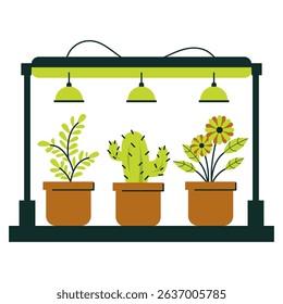 Illustration of an indoor greenhouse setup containing three potted plants with overhead lighting, showcasing gardening and plant care in a controlled environment.
