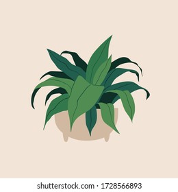 Illustration of indoor house plants. Pretty green decorative trendy plant growing in pot, planter. Urban jungle, cozy scandinavian home decor. Floral template for web, card, poster, sticker, banner