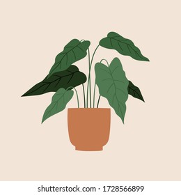 Illustration of indoor house plants. Pretty green decorative trendy plant growing in pot, planter. Urban jungle, cozy scandinavian home decor. Floral template for web, card, poster, sticker, banner