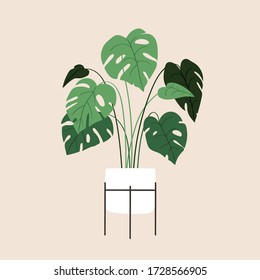 Illustration of indoor house plants. Pretty green decorative trendy plant growing in pot, planter. Urban jungle, cozy scandinavian home decor. Floral template for web, card, poster, sticker, banner