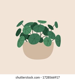 Illustration of indoor house plants. Pretty green decorative trendy plant growing in pot, planter. Urban jungle, cozy scandinavian home decor. Floral template for web, card, poster, sticker, banner