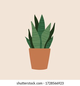 Illustration of indoor house plants. Pretty green decorative trendy plant growing in pot, planter. Urban jungle, cozy scandinavian home decor. Floral template for web, card, poster, sticker, banner