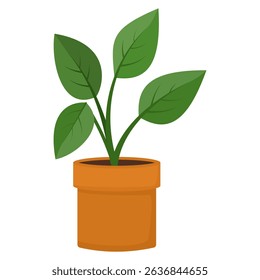 illustration of indoor plant pot