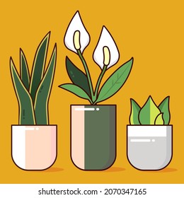 illustration of indoor plants, peace lily, snake plant and others