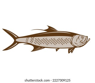 Illustration of a Indo-Pacific tarpon or oxeye herring viewed from side on isolated background done in retro woodcut style.