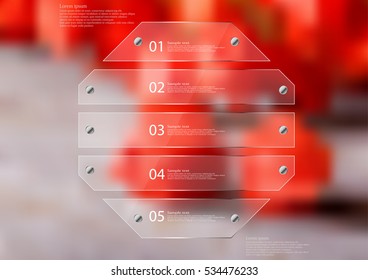 Illustration infographic template with motif of glass octagon horizontally divided to five sections. Blurred photo with natural motif is used as background with several red physalis blooms.