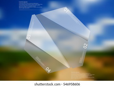Illustration infographic template with motif of grey transparent hexagon randomly divided to four sections. Blurred photo with natural motif is used as background with path between fields.