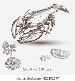Illustration ink seafood lobster. Elements for the graphic design of the menu bars, restaurants, invitations, announcements.