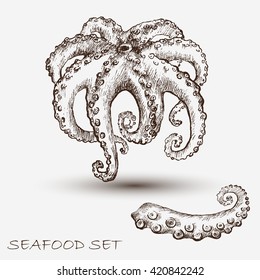 Illustration ink seafood, octopus tentacles .  Elements for the graphic design of the menu bars, restaurants, invitations, announcements.