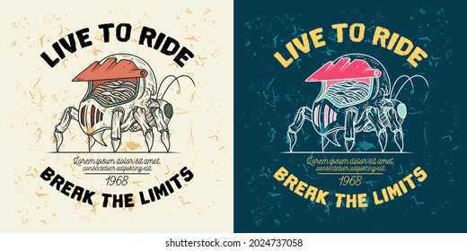illustration of an insect carrying a motocross helmet on its back, this image is suitable for use as a motocross event logo or motocross community t-shirt design