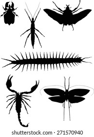 Illustration mit Insektensammlung einzeln auf weißem Hintergrund