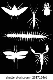 ilustración con colección de insectos aislada en fondo negro