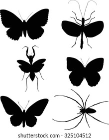 ilustración con colección de insectos aislada en fondo blanco