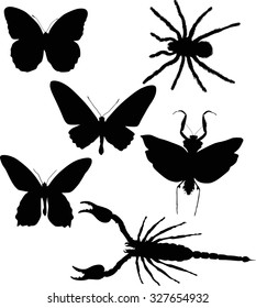 illustration with insect collection isolated on white background