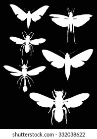 illustration with insect collection isolated on black background