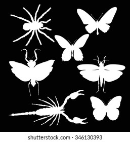 ilustración con colección de insectos aislada en fondo negro