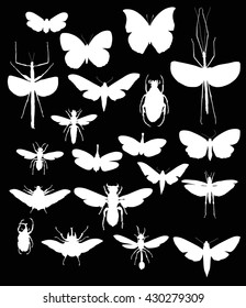 Illustration Insect Collection Isolated On Black Stock Vector (Royalty ...